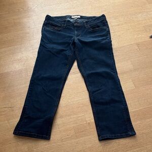 Banana Republic Dark Blue Straight Leg Jeans